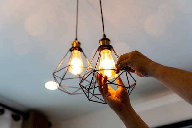Best Ceiling Fan Installation Electrician  in Elmer, NJ