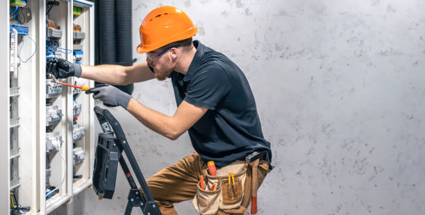Best Electric Panel Repair  in Elmer, NJ