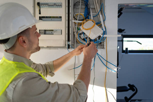 Best Licensed Electrician  in Elmer, NJ